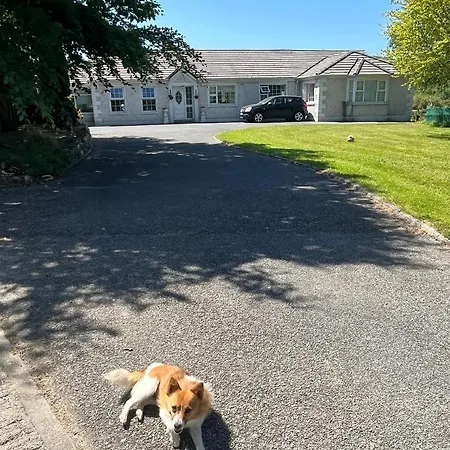 Graiguenamanagh Homestay * Graiguenamanagh