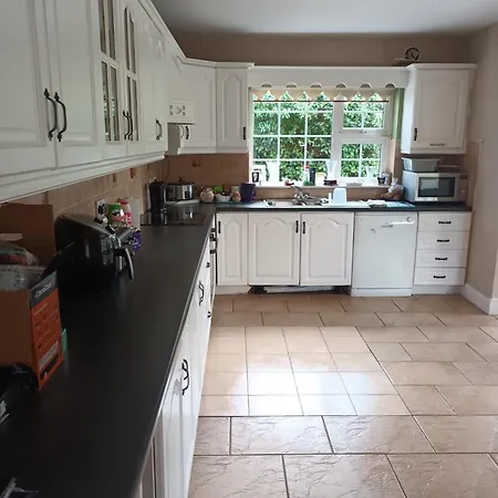 Privatunterkunft Graiguenamanagh Homestay *